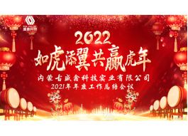 2021年年度工作总结会议及2022年迎新晚宴